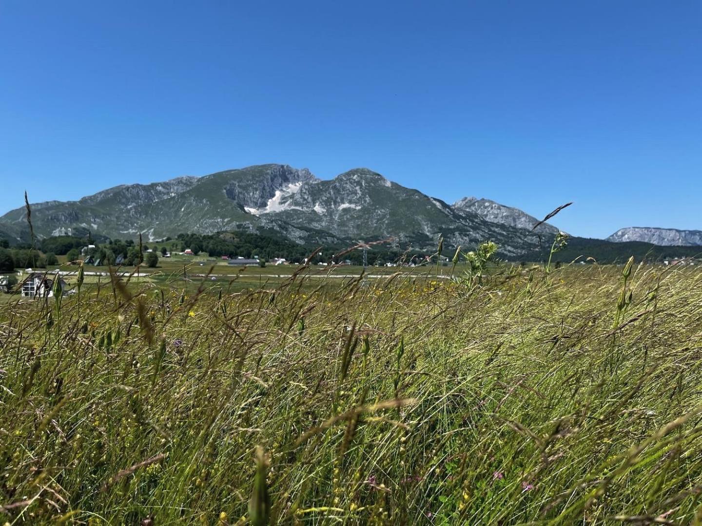 Mountain Peaceful Cottages Žabljak Exterior foto